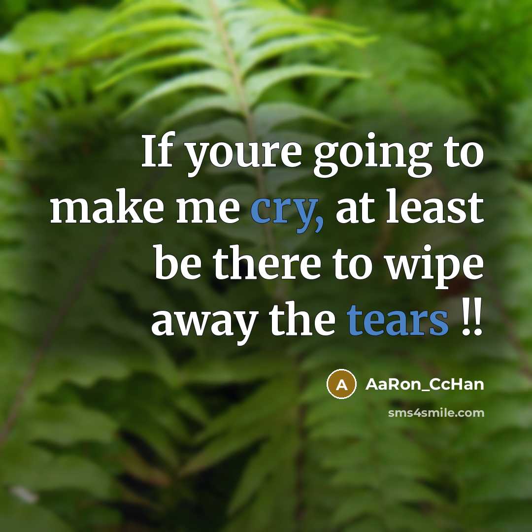 “If youre going to make me cry, at least be there to wipe away the tears !!” quote by AaRon_CcHan