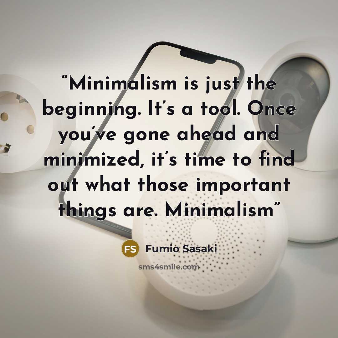 “Minimalism is just the beginning. It’s a tool. Once you’ve gone ahead and minimized, it’s time to find out what those important things are. Minimalism” quote by Fumio Sasaki