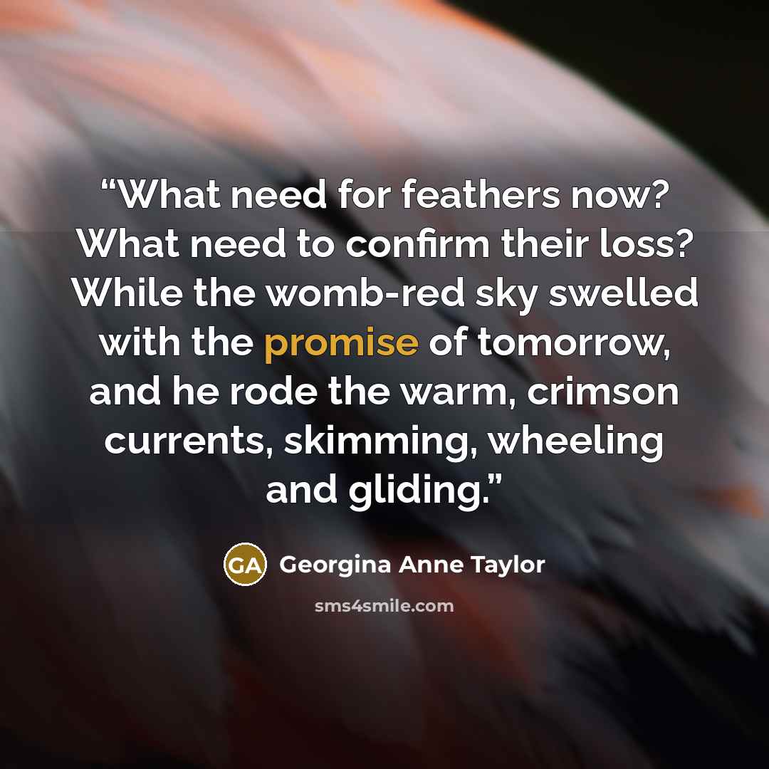 “What need for feathers now? What need to confirm their loss? While the womb-red sky swelled with the promise of tomorrow, and he rode the warm, crimson currents, skimming, wheeling and gliding.” quote by Georgina Anne Taylor