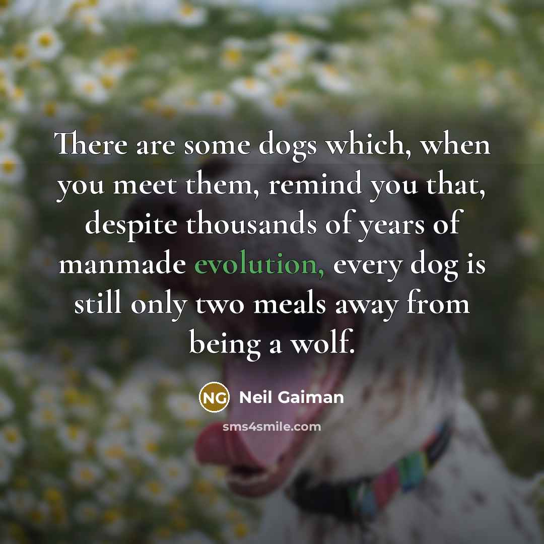 “There are some dogs which, when you meet them, remind you that, despite thousands of years of manmade evolution, every dog is still only two meals away from being a wolf.” quote by Neil Gaiman