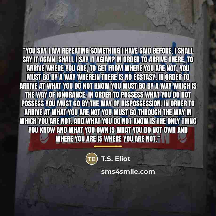 “You say I am repeating Something I have said before. I shall say it again. Shall I say it agian? In order to arrive there, To arrive where you are, to get from where you are not, You must go by a way wherein there is no ecstasy. In order to arrive at what you do not know You must go by a way which…” quote by T.S. Eliot