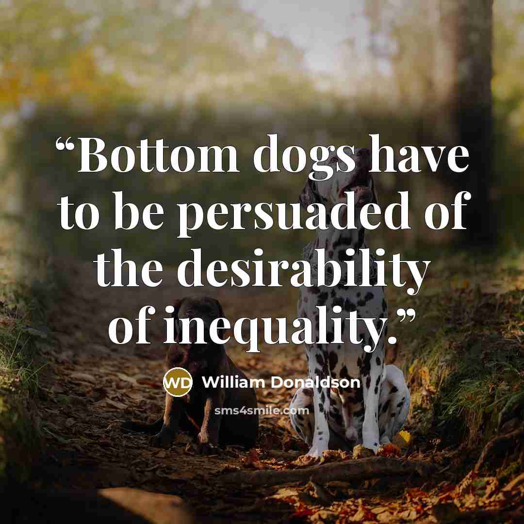 “Bottom dogs have to be persuaded of the desirability of inequality.” quote by william donaldson