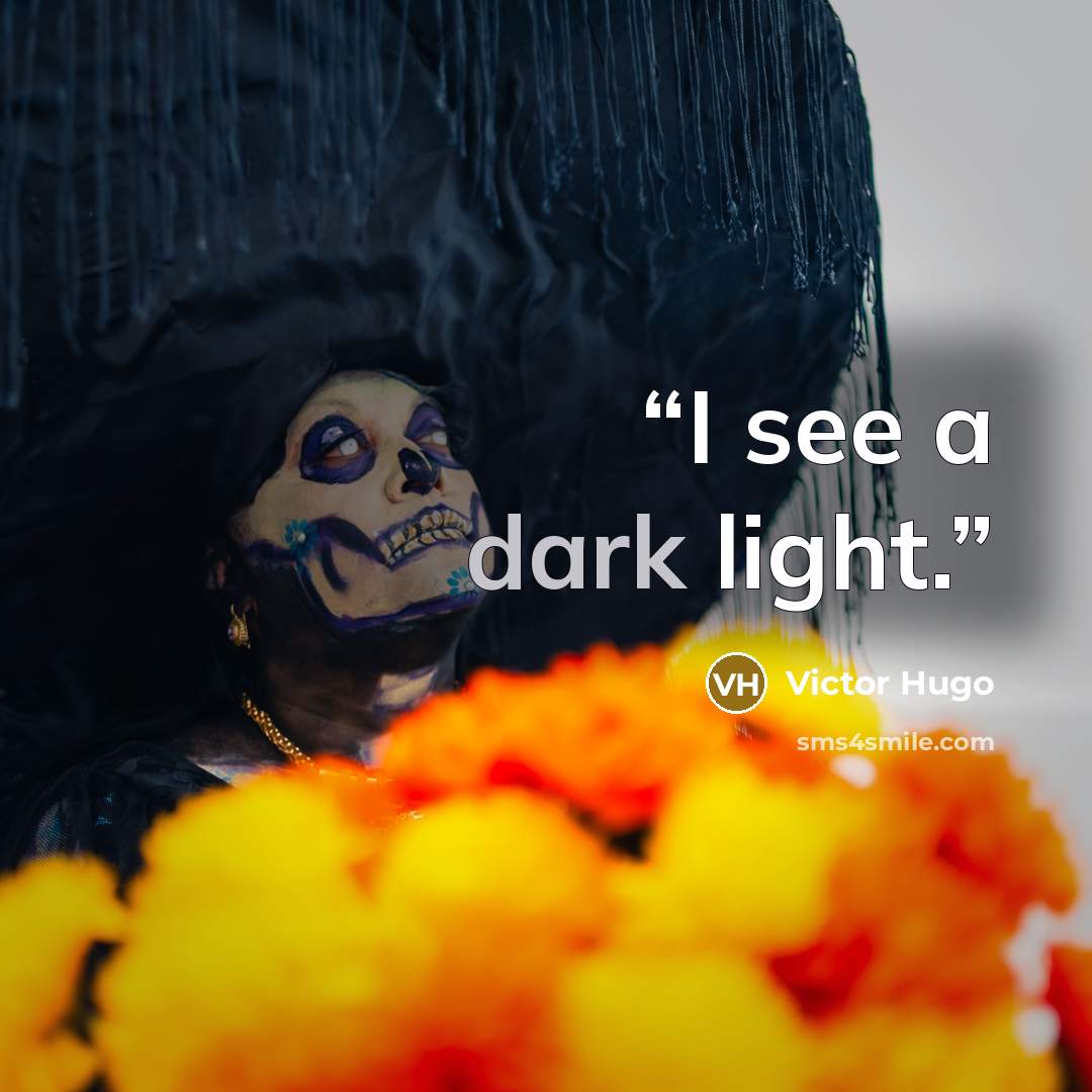 “I see a dark light.” quote by Victor Hugo
