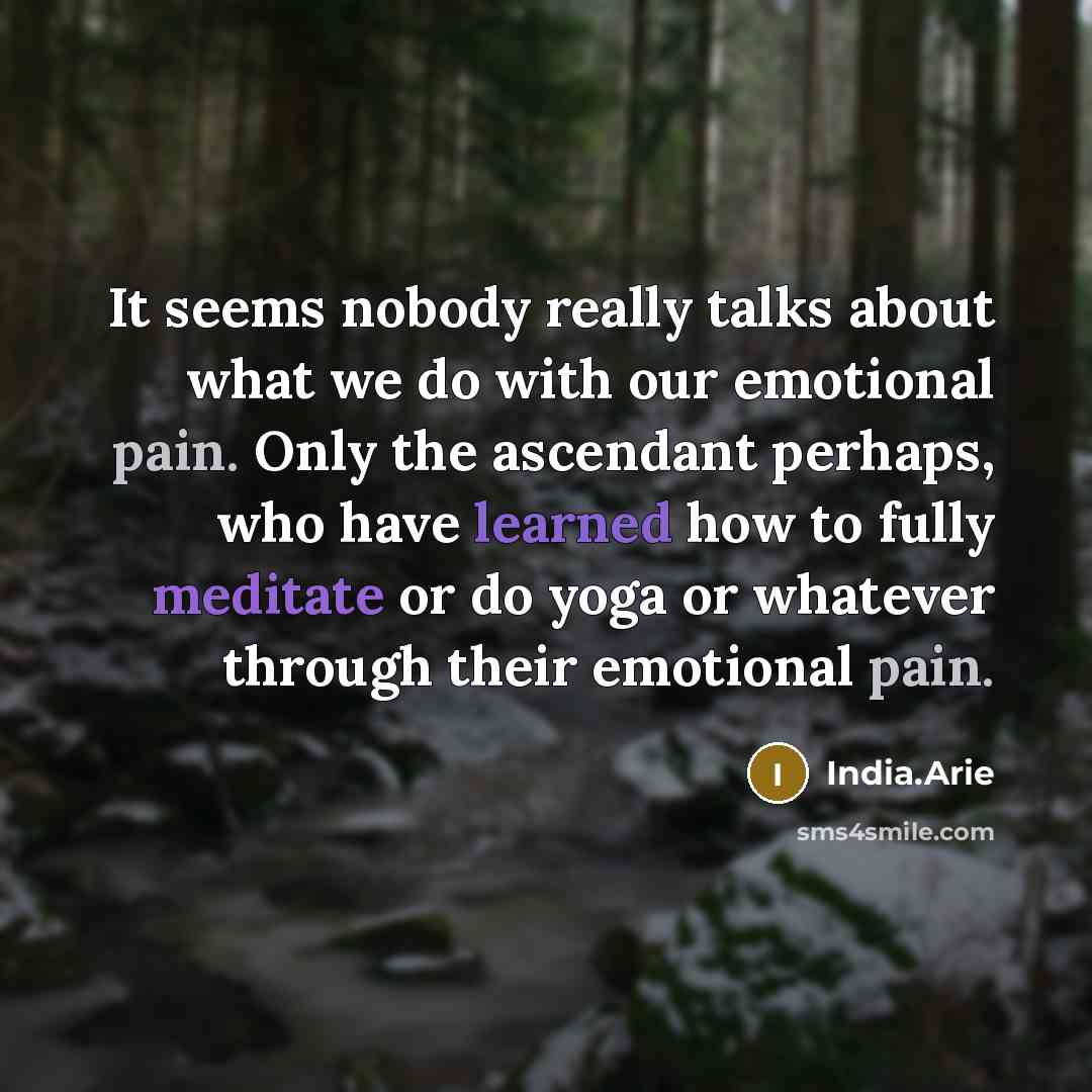 “It seems nobody really talks about what we do with our emotional pain. Only the ascendant perhaps, who have learned how to fully meditate or do yoga or whatever through their emotional pain.” quote by India.Arie