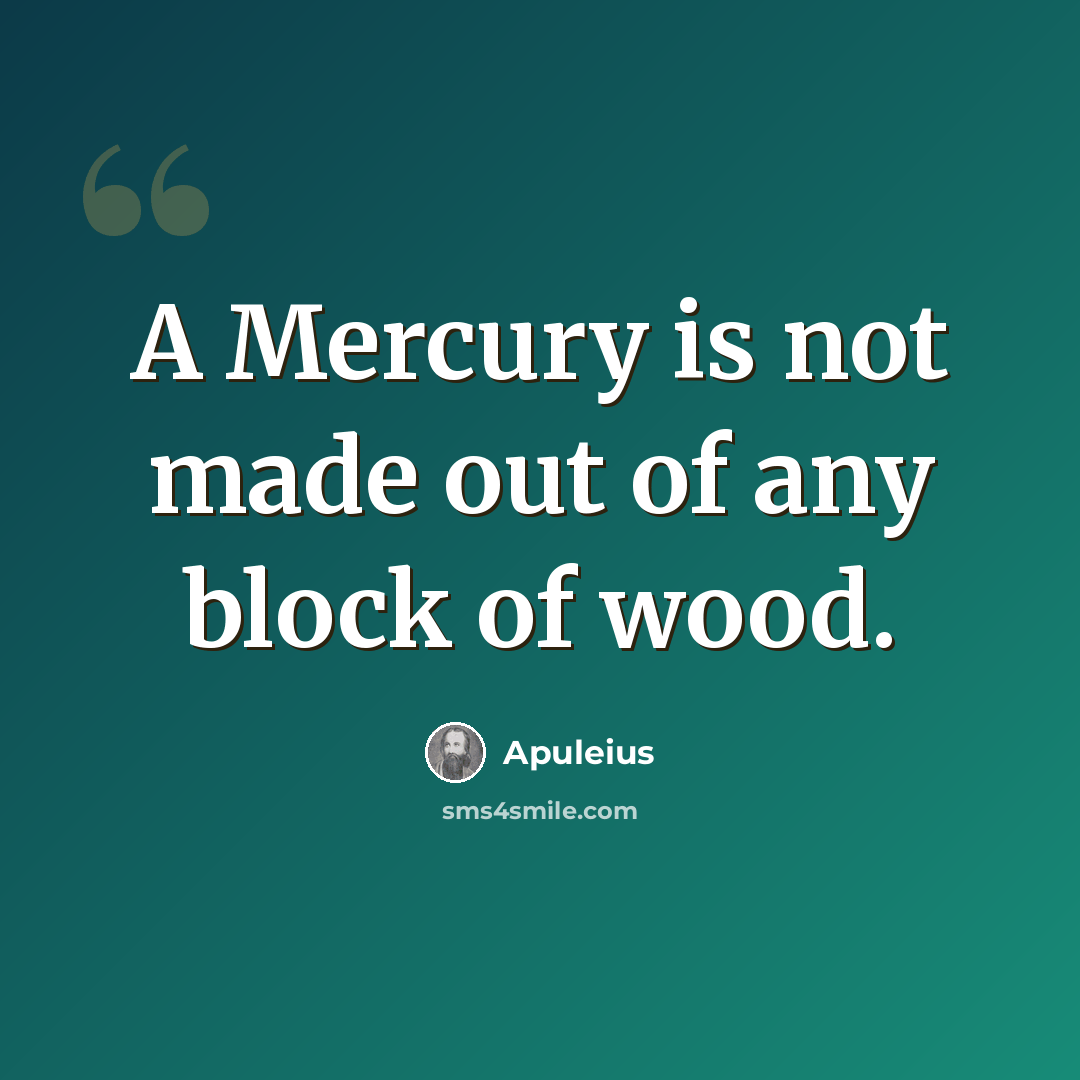 “A Mercury is not made out of any block of wood.” quote by Apuleius