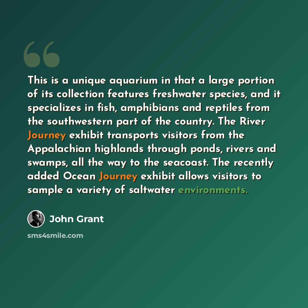 “This is a unique aquarium in that a large portion of its collection features freshwater species, and it specializes in fish, amphibians and reptiles from the southwestern part of the country. The River Journey exhibit transports visitors from the Appalachian highlands through ponds, rivers and…” quote by John Grant