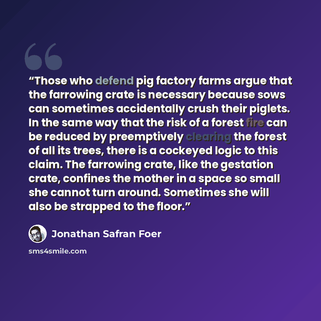 “Those who defend pig factory farms argue that the farrowing crate is necessary because sows can sometimes accidentally crush their piglets. In the same way that the risk of a forest fire can be reduced by preemptively clearing the forest of all its trees, there is a cockeyed logic to this claim…” quote by Jonathan Safran Foer