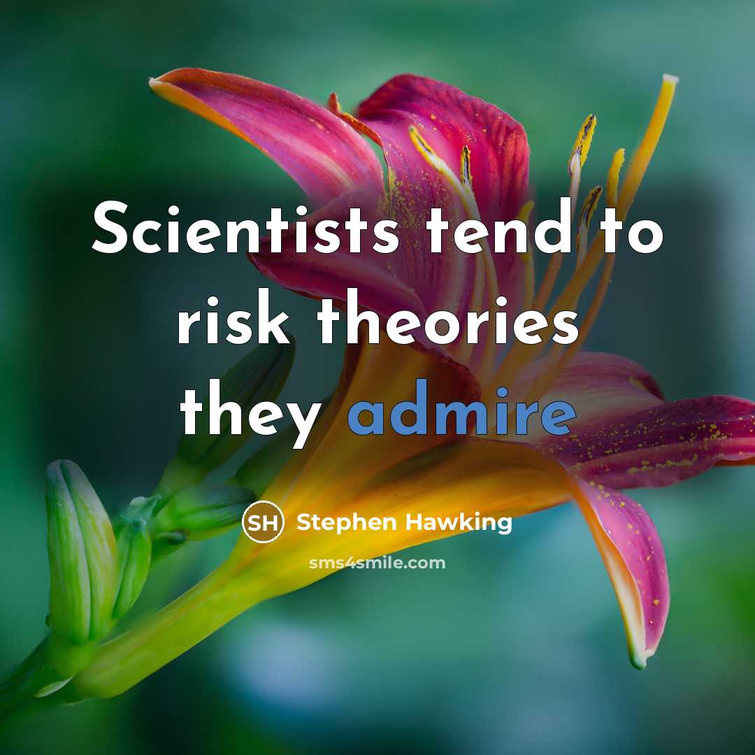 “Scientists tend to risk theories they admire” quote by Stephen Hawking