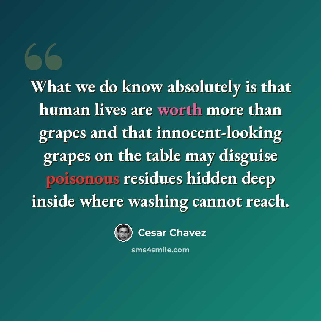 “What we do know absolutely is that human lives are worth more than grapes and that innocent-looking grapes on the table may disguise poisonous residues hidden deep inside where washing cannot reach.” quote by Cesar Chavez