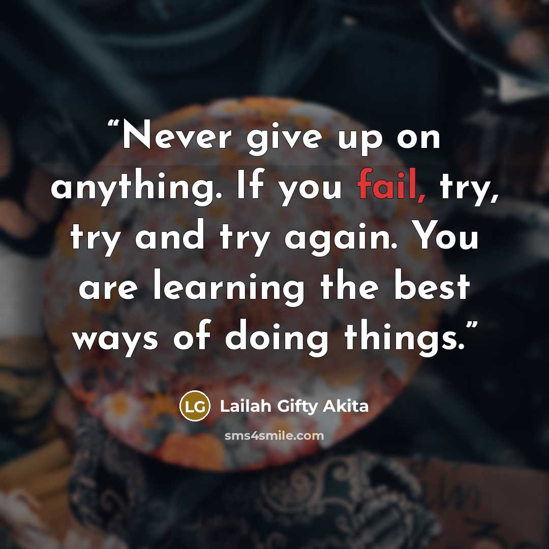 “Never give up on anything. If you fail, try, try and try again. You are learning the best ways of doing things.” quote by Lailah Gifty Akita