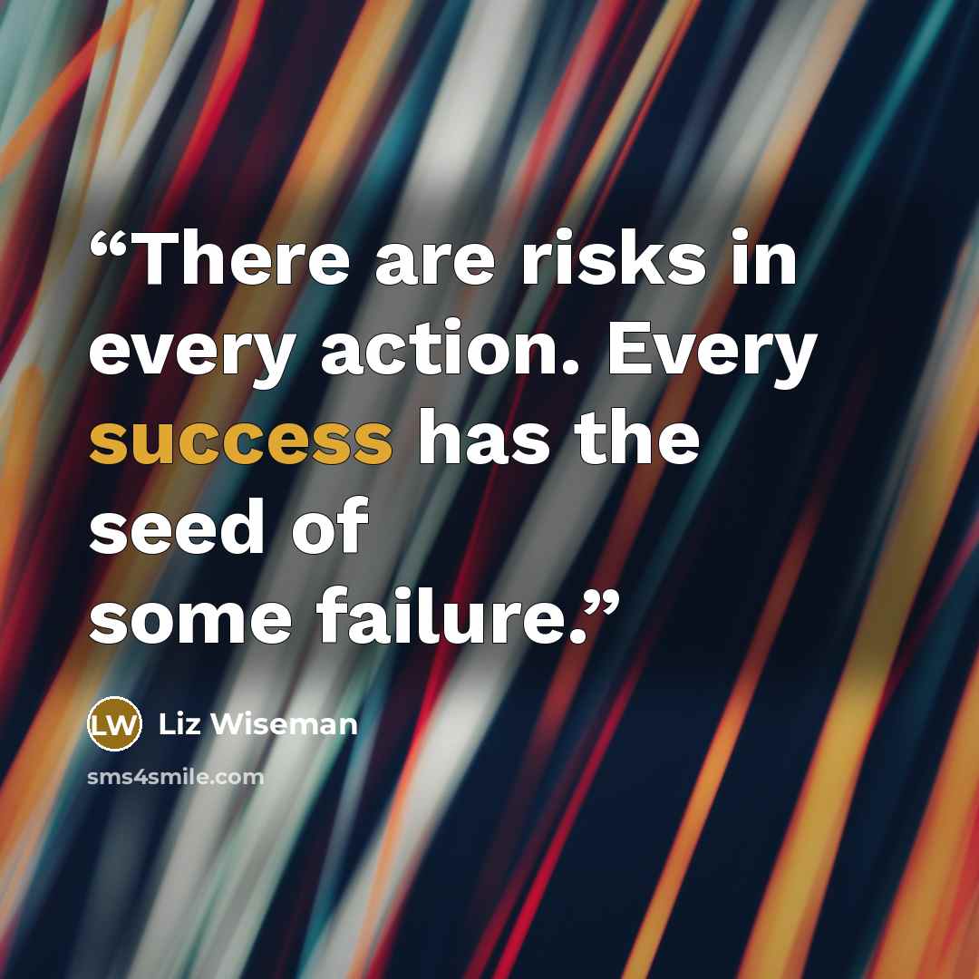 “There are risks in every action. Every success has the seed of some failure.” quote by Liz Wiseman