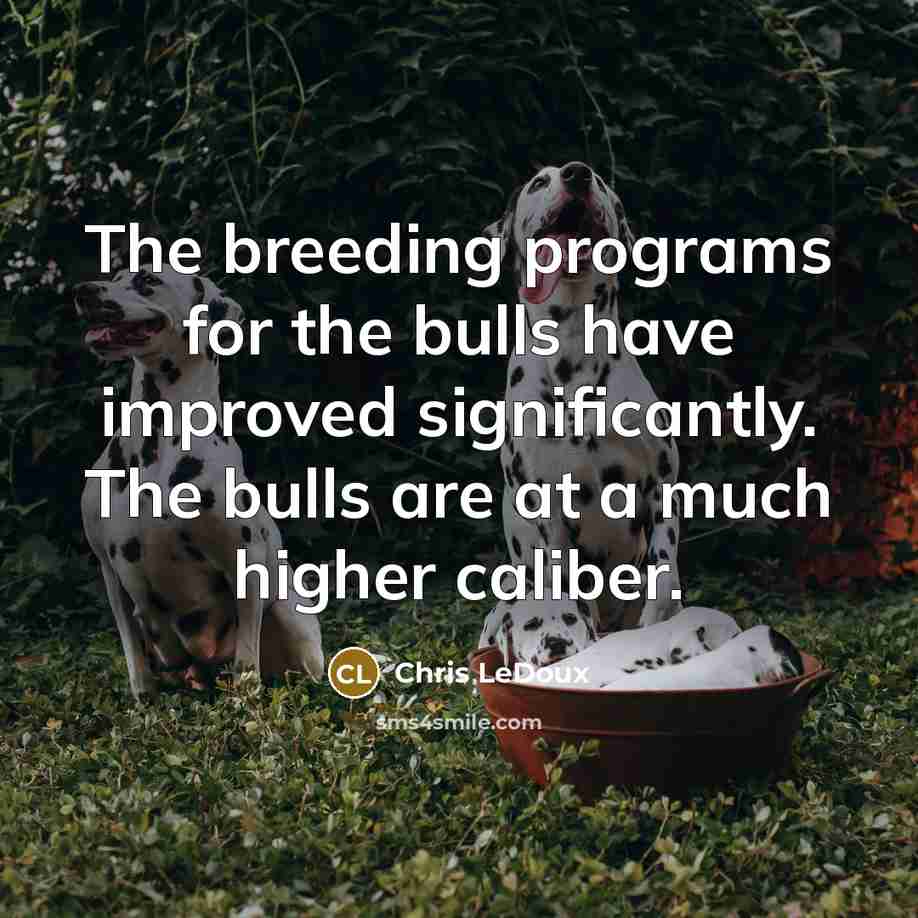“The breeding programs for the bulls have improved significantly. The bulls are at a much higher caliber.” quote by Chris LeDoux