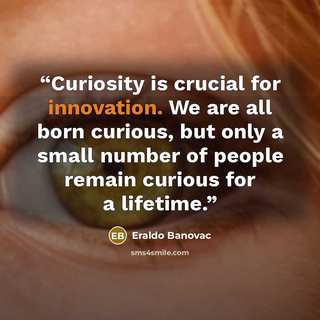 “Curiosity is crucial for innovation. We are all born curious, but only a small number of people remain curious for a lifetime.” quote by Eraldo Banovac