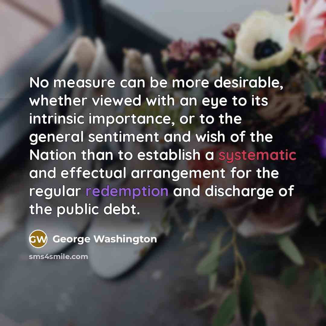 “No measure can be more desirable, whether viewed with an eye to its intrinsic importance, or to the general sentiment and wish of the Nation than to establish a systematic and effectual arrangement for the regular redemption and discharge of the public debt.” quote by George Washington