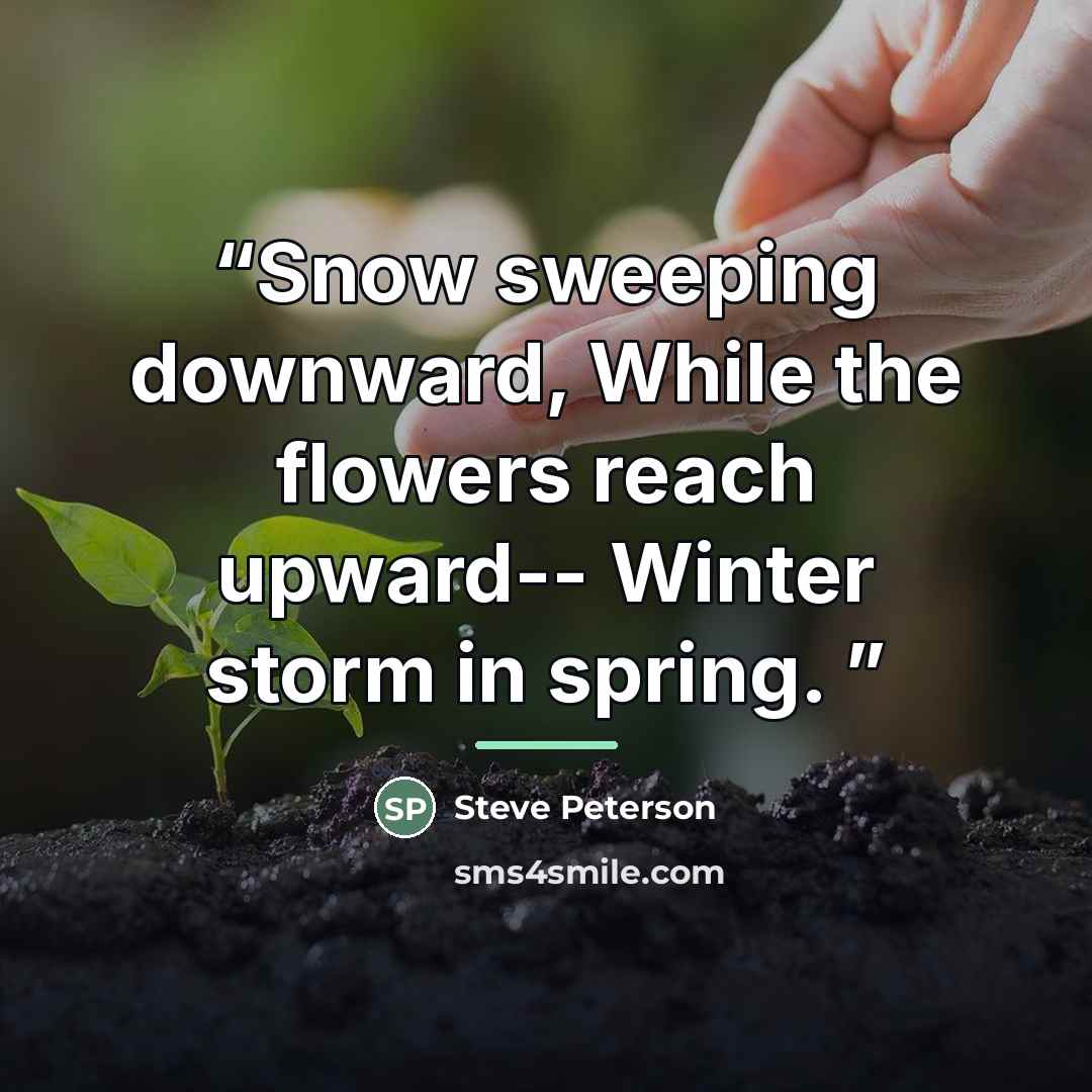 “Snow sweeping downward, While the flowers reach upward-- Winter storm in spring.” quote by Steve Peterson