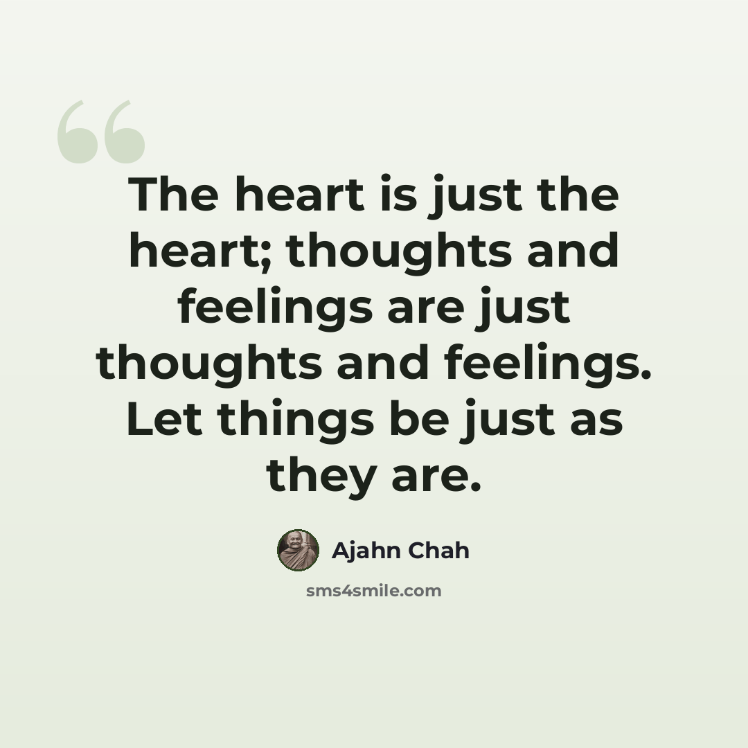 “The heart is just the heart; thoughts and feelings are just thoughts and feelings. Let things be just as they are.” quote by Ajahn Chah