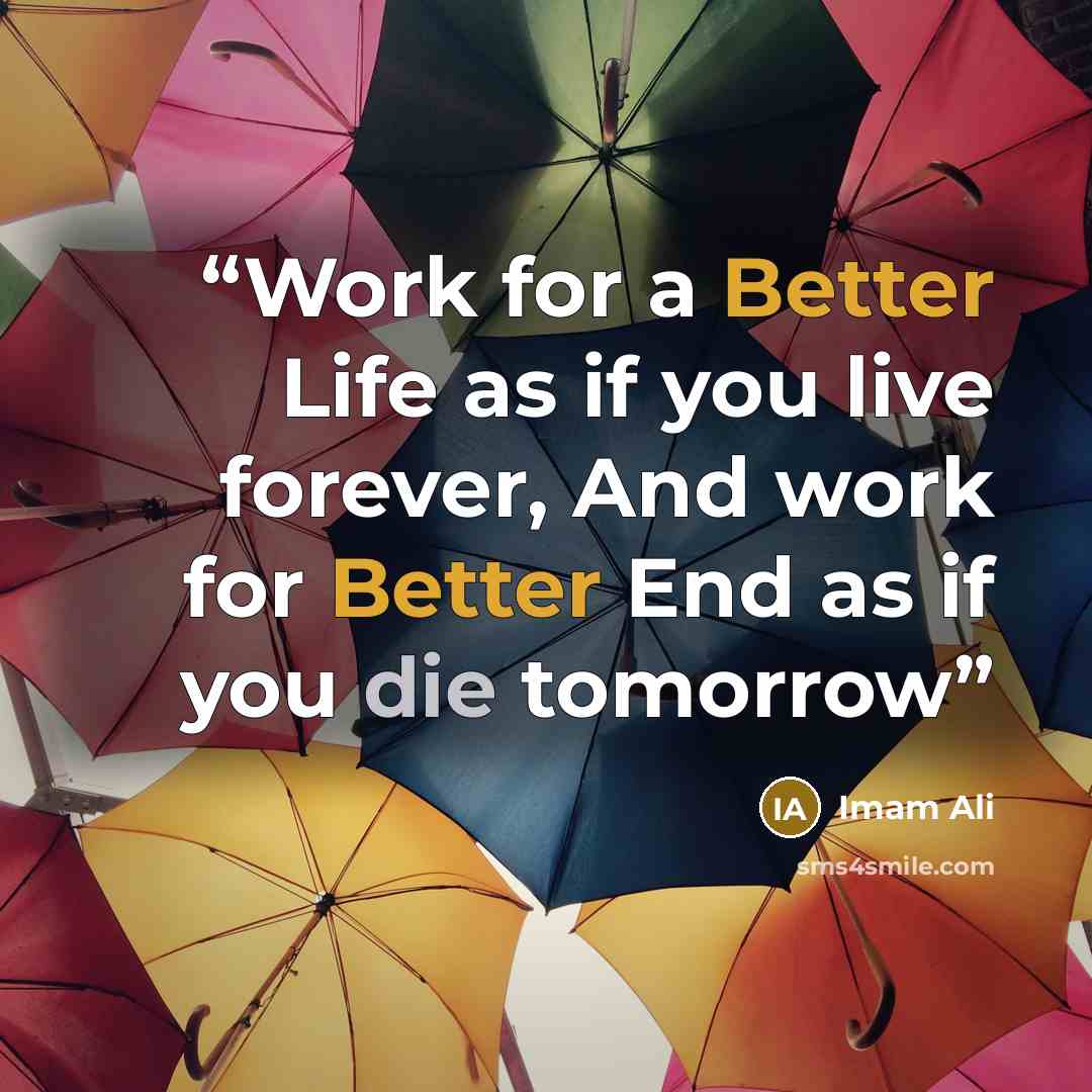 “Work for a Better Life as if you live forever, And work for Better End as if you die tomorrow” quote by Imam Ali