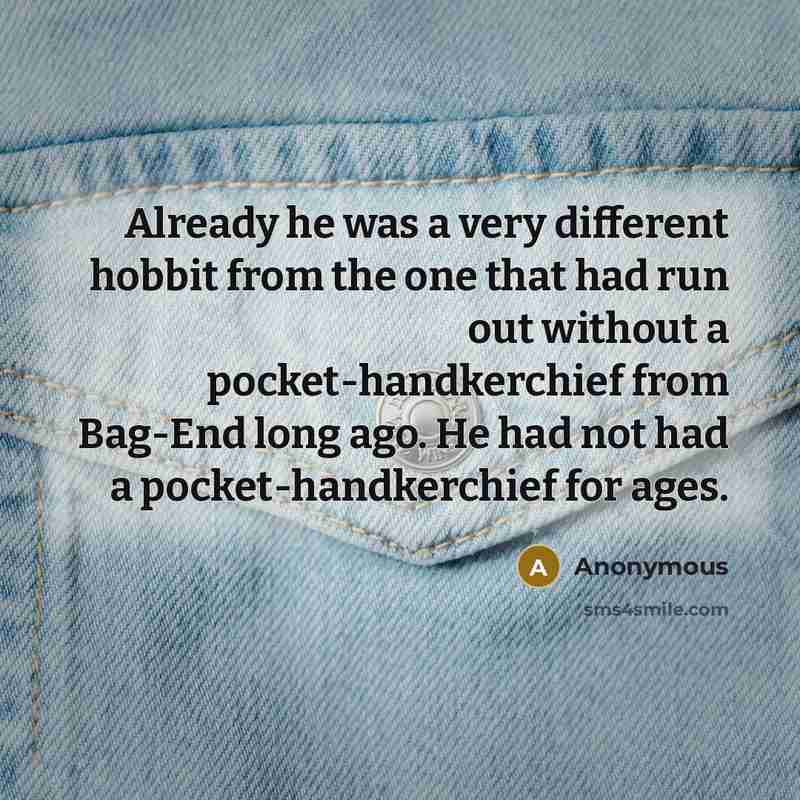 “Already he was a very different hobbit from the one that had run out without a pocket-handkerchief from Bag-End long ago. He had not had a pocket-handkerchief for ages.” quote by Anonymous