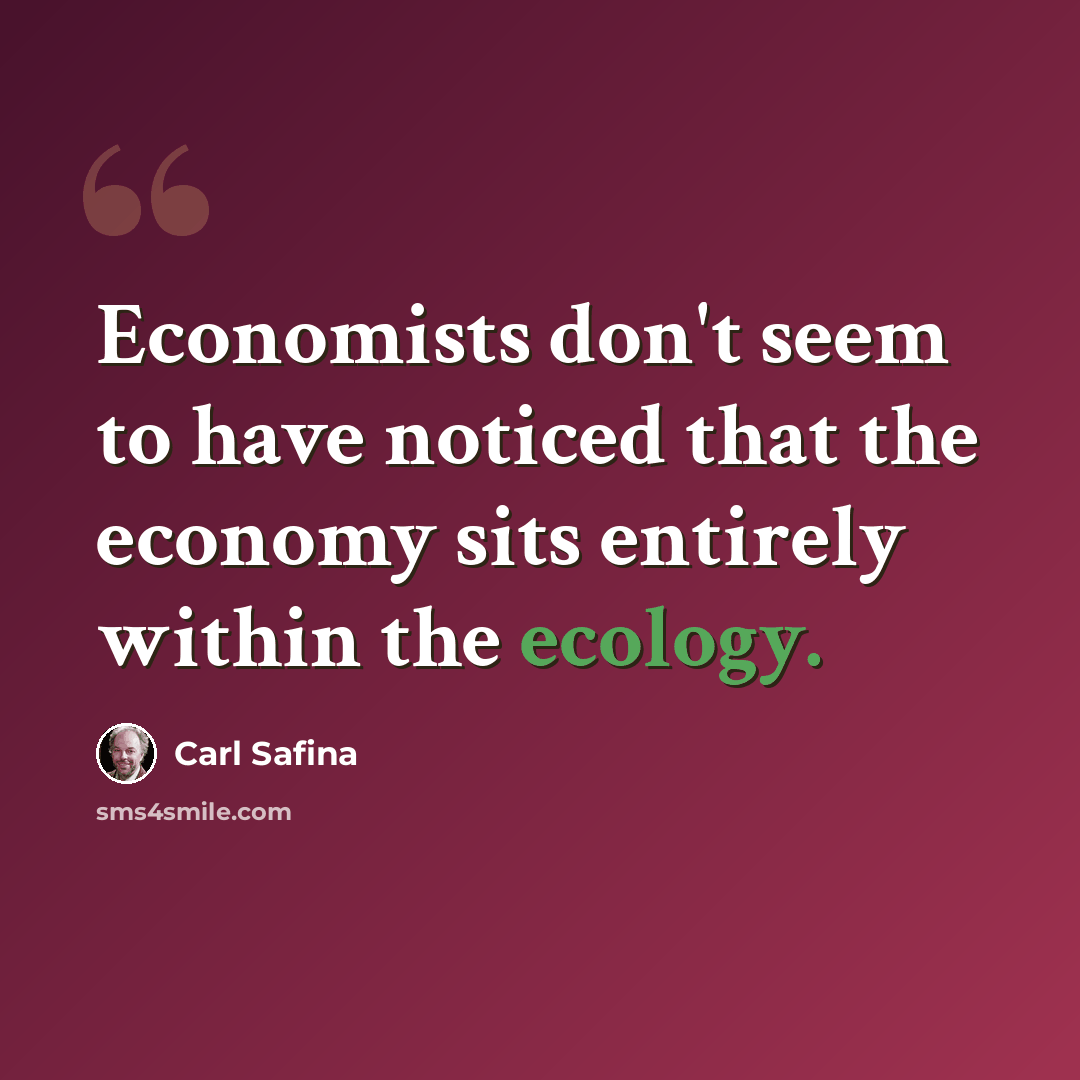 “Economists don't seem to have noticed that the economy sits entirely within the ecology.” quote by Carl Safina