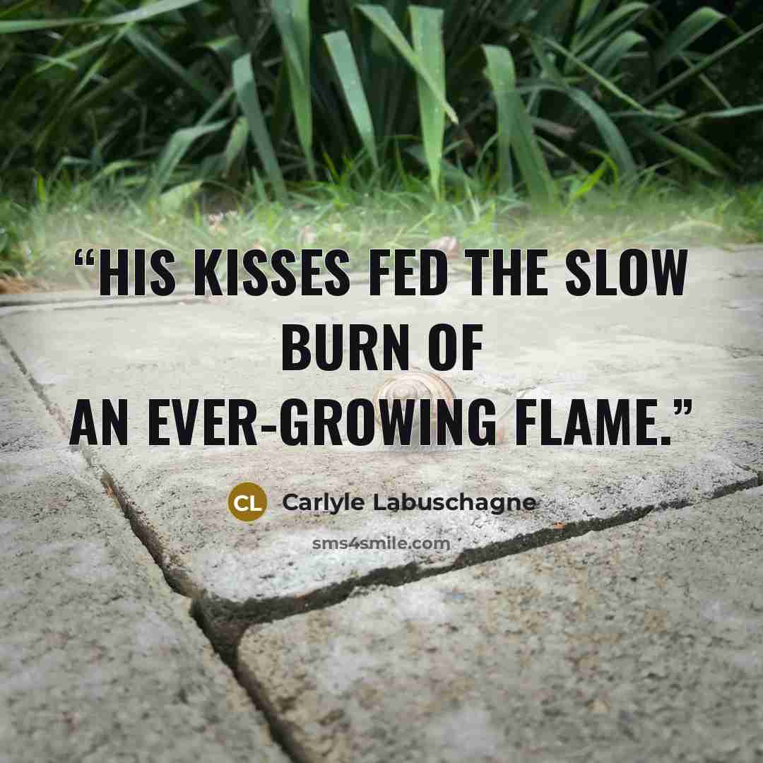 “His kisses fed the slow burn of an ever-growing flame.” quote by Carlyle Labuschagne