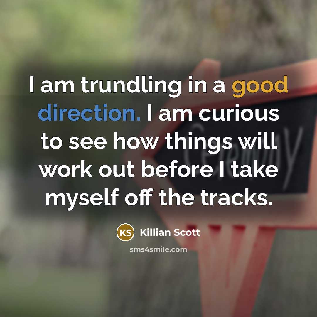 “I am trundling in a good direction. I am curious to see how things will work out before I take myself off the tracks.” quote by Killian Scott