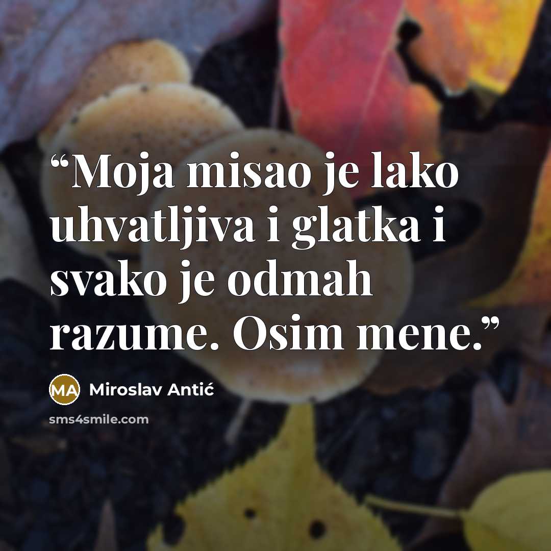 “Moja misao je lako uhvatljiva i glatka i svako je odmah razume. Osim mene.” quote by Miroslav Antić