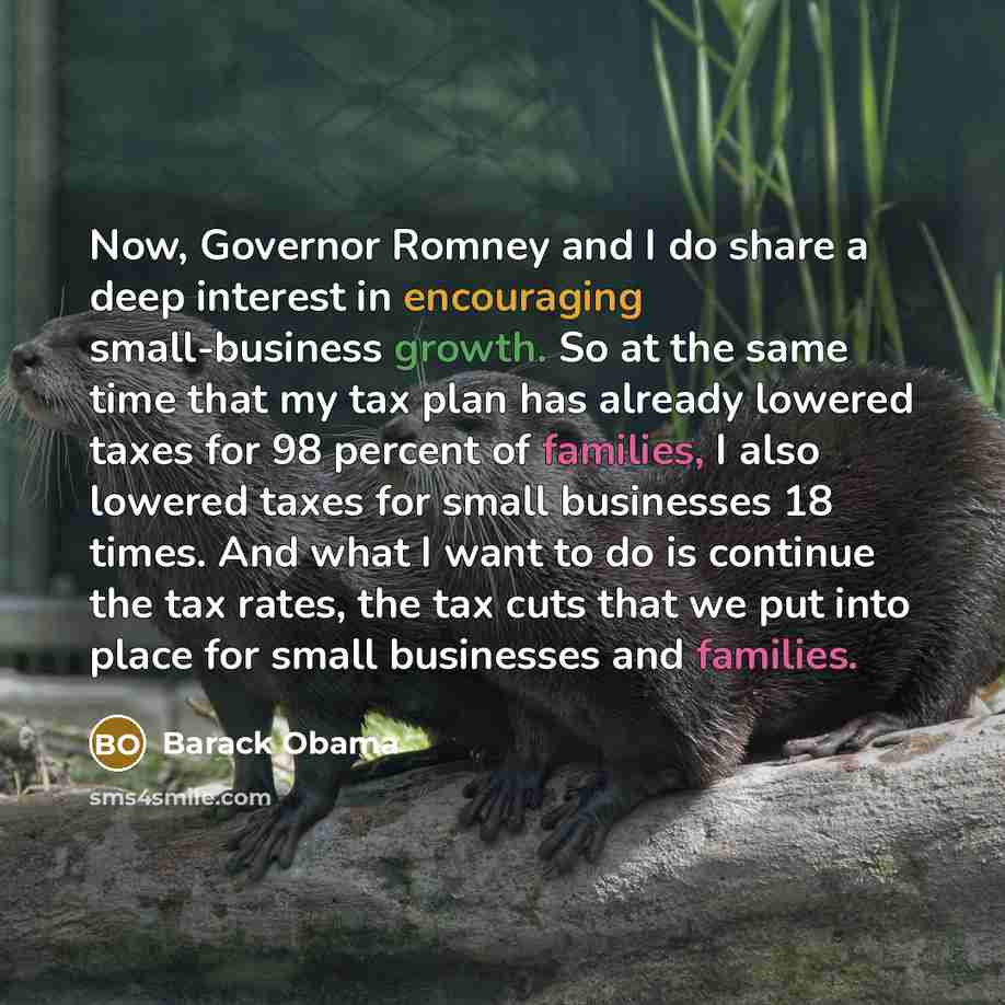 “Now, Governor Romney and I do share a deep interest in encouraging small-business growth. So at the same time that my tax plan has already lowered taxes for 98 percent of families, I also lowered taxes for small businesses 18 times. And what I want to do is continue the tax rates, the tax cuts…” quote by Barack Obama