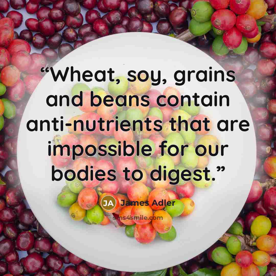 “Wheat, soy, grains and beans contain anti-nutrients that are impossible for our bodies to digest.” quote by James Adler