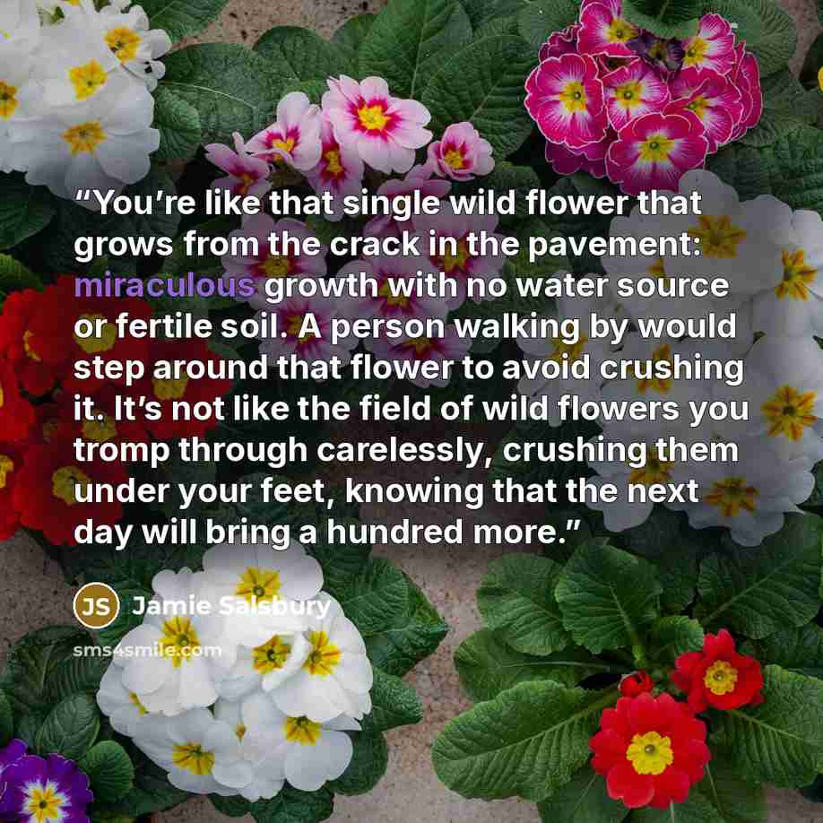 “You’re like that single wild flower that grows from the crack in the pavement: miraculous growth with no water source or fertile soil. A person walking by would step around that flower to avoid crushing it. It’s not like the field of wild flowers you tromp through carelessly, crushing them under…” quote by Jamie Salsbury