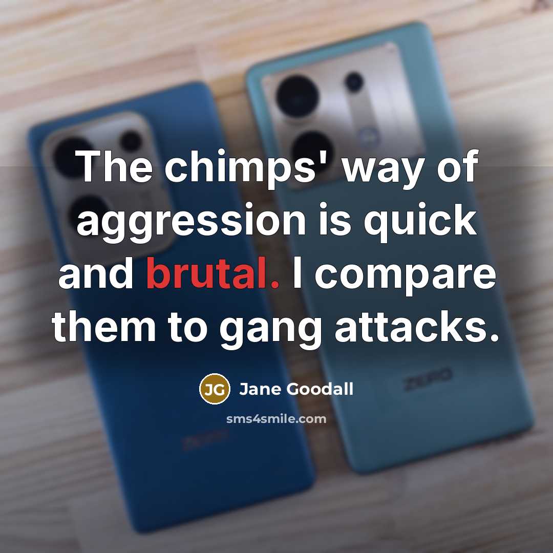 “The chimps' way of aggression is quick and brutal. I compare them to gang attacks.” quote by Jane Goodall