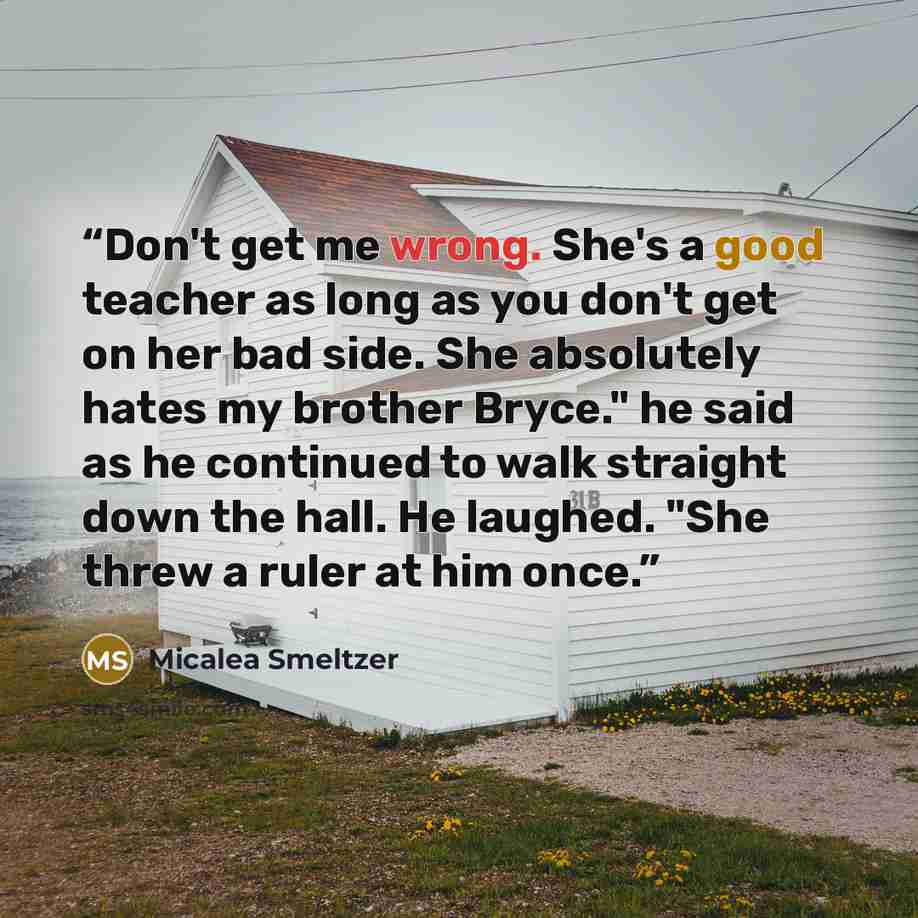 “Don't get me wrong. She's a good teacher as long as you don't get on her bad side. She absolutely hates my brother Bryce." he said as he continued to walk straight down the hall. He laughed. "She threw a ruler at him once.” quote by Micalea Smeltzer
