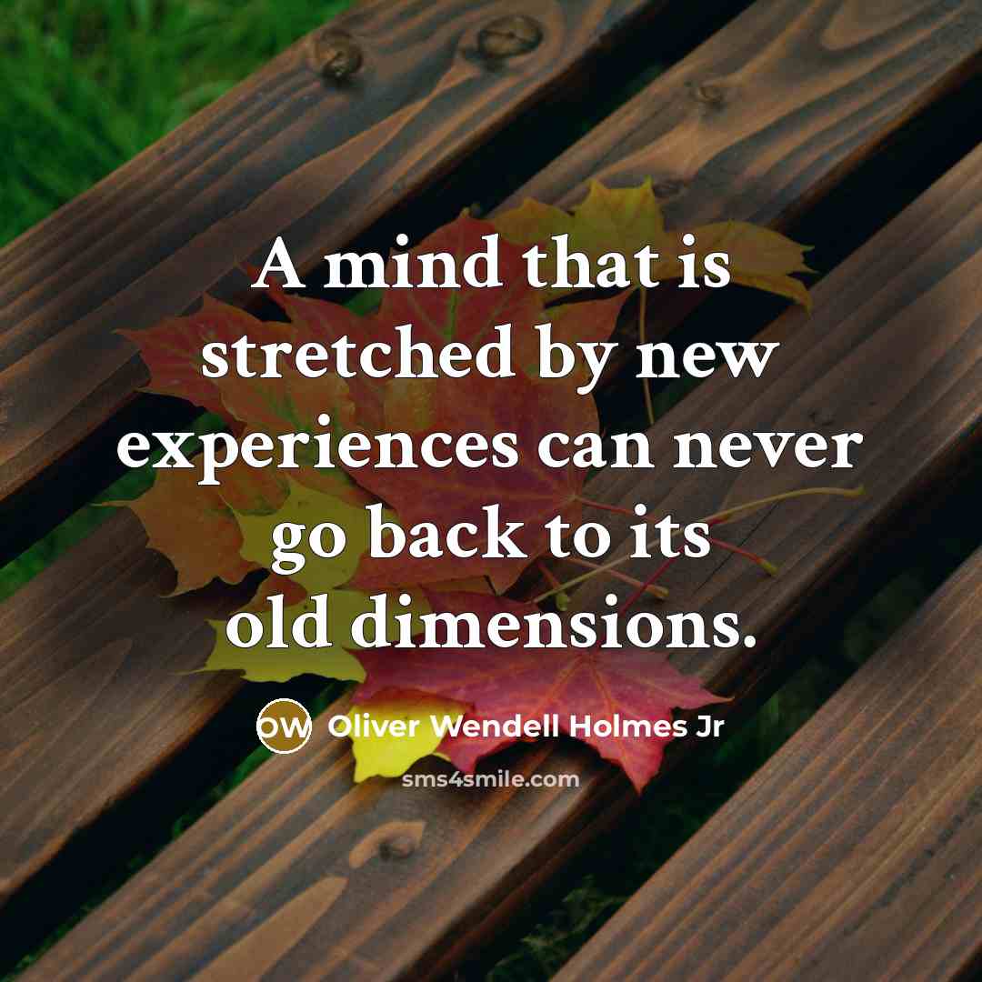 “A mind that is stretched by new experiences can never go back to its old dimensions.” quote by Oliver Wendell Holmes Jr