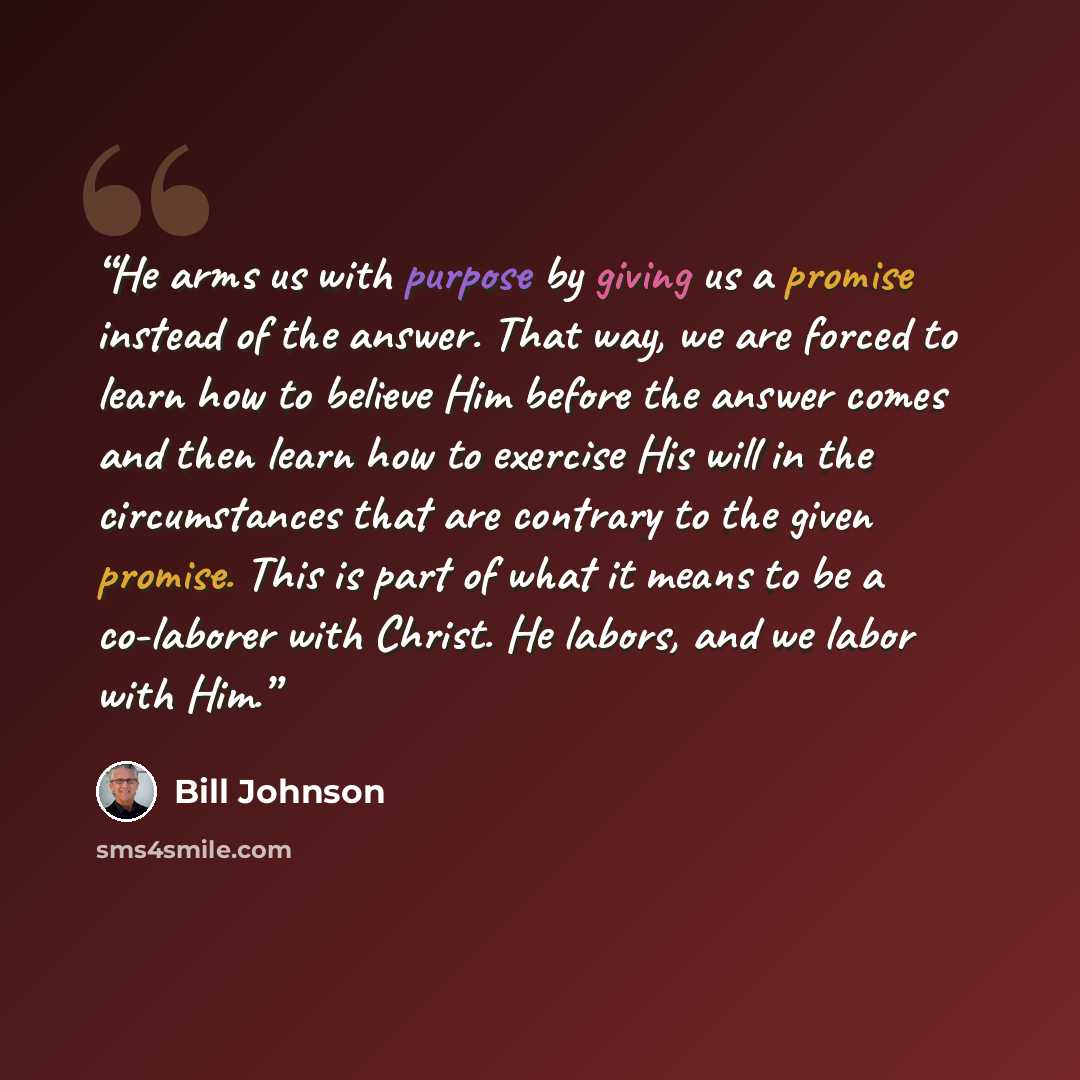 “He arms us with purpose by giving us a promise instead of the answer. That way, we are forced to learn how to believe Him before the answer comes and then learn how to exercise His will in the circumstances that are contrary to the given promise. This is part of what it means to be a co-laborer…” quote by Bill Johnson