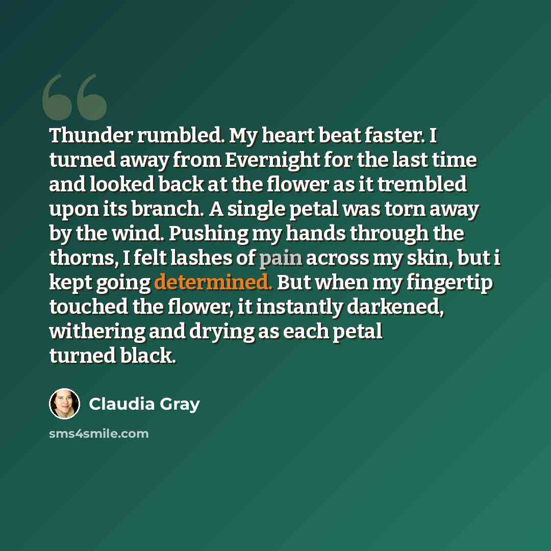 “Thunder rumbled. My heart beat faster. I turned away from Evernight for the last time and looked back at the flower as it trembled upon its branch. A single petal was torn away by the wind. Pushing my hands through the thorns, I felt lashes of pain across my skin, but i kept going determined. But…” quote by Claudia Gray