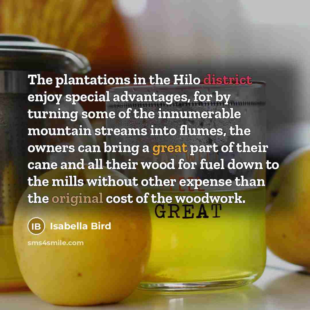 “The plantations in the Hilo district enjoy special advantages, for by turning some of the innumerable mountain streams into flumes, the owners can bring a great part of their cane and all their wood for fuel down to the mills without other expense than the original cost of the woodwork.” quote by Isabella Bird