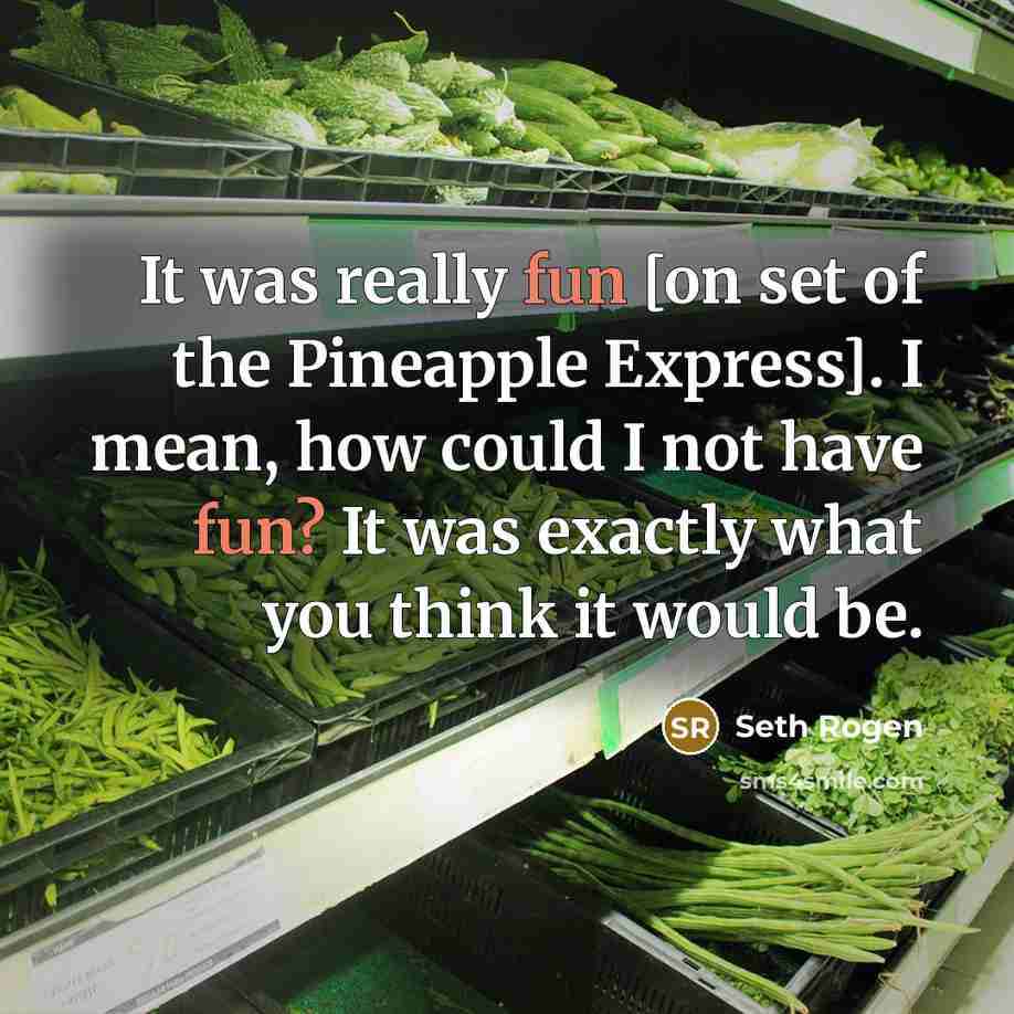 “It was really fun [on set of the Pineapple Express]. I mean, how could I not have fun? It was exactly what you think it would be.” quote by Seth Rogen