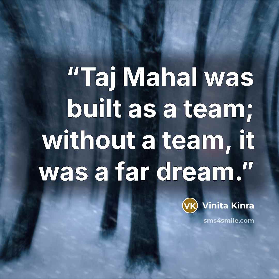 “Taj Mahal was built as a team; without a team, it was a far dream.” quote by Vinita Kinra
