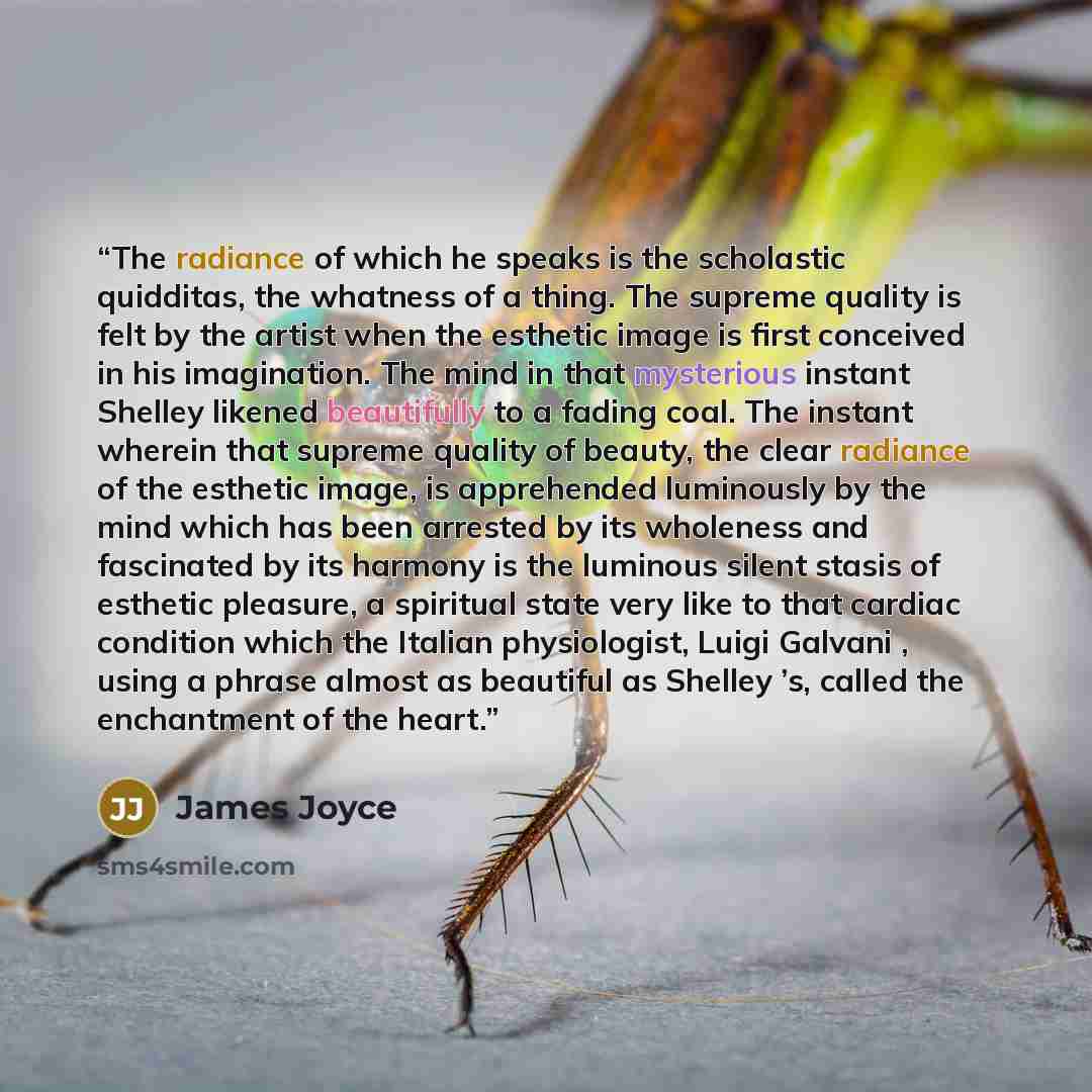 “The radiance of which he speaks is the scholastic quidditas, the whatness of a thing. The supreme quality is felt by the artist when the esthetic image is first conceived in his imagination. The mind in that mysterious instant Shelley likened beautifully to a fading coal. The instant wherein that…” quote by James Joyce
