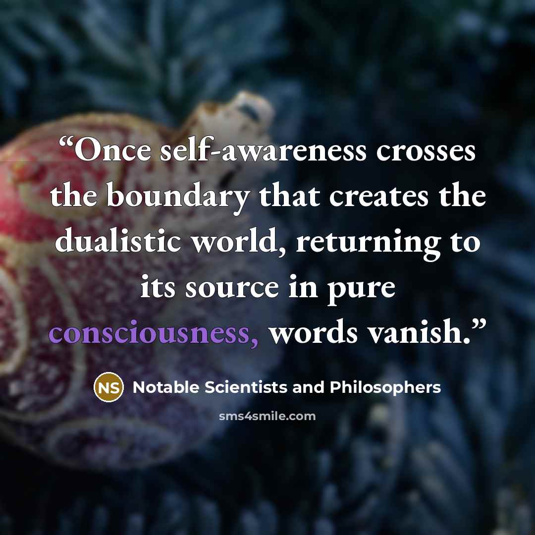 “Once self-awareness crosses the boundary that creates the dualistic world, returning to its source in pure consciousness, words vanish.” quote by Notable Scientists and Philosophers