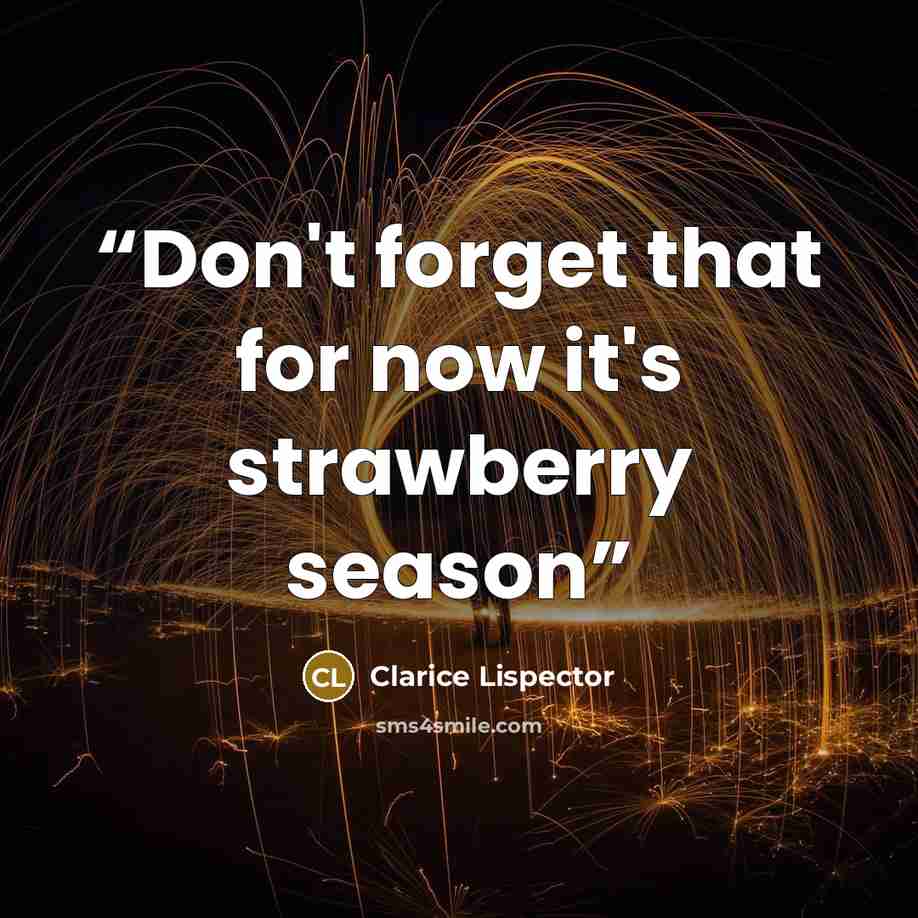 “Don't forget that for now it's strawberry season” quote by Clarice Lispector