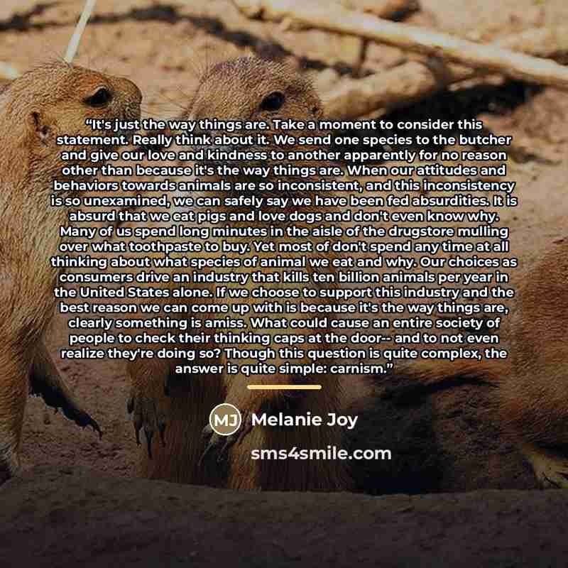 “It's just the way things are. Take a moment to consider this statement. Really think about it. We send one species to the butcher and give our love and kindness to another apparently for no reason other than because it's the way things are. When our attitudes and behaviors towards animals are so…” quote by Melanie Joy