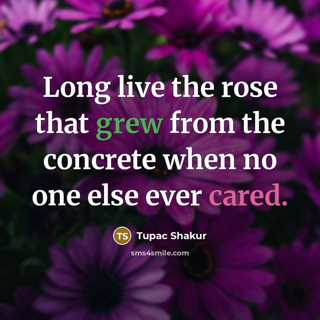 “Long live the rose that grew from the concrete when no one else ever cared.” quote by Tupac Shakur