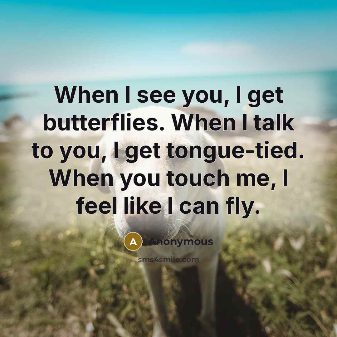 “When I see you, I get butterflies. When I talk to you, I get tongue-tied. When you touch me, I feel like I can fly.” quote by Anonymous