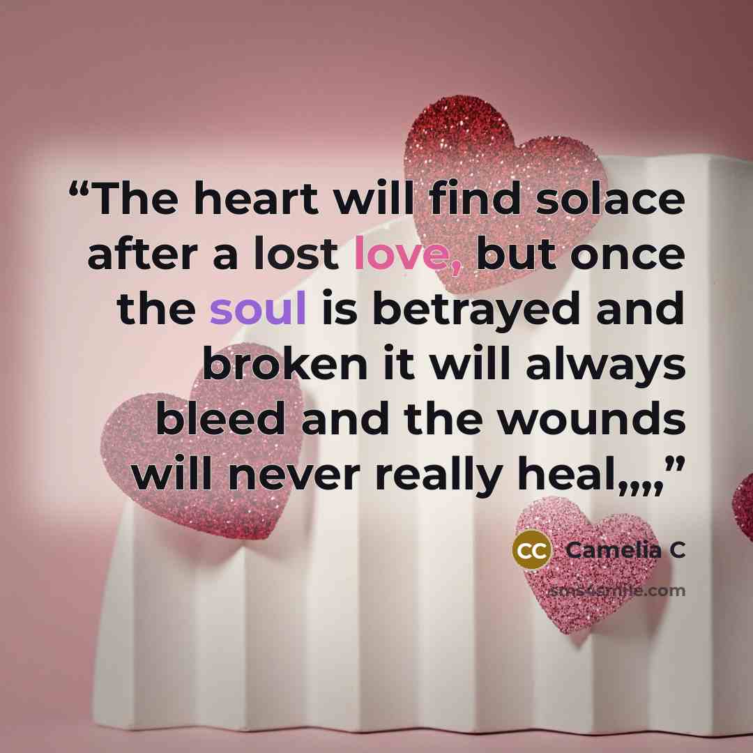 “The heart will find solace after a lost love, but once the soul is betrayed and broken it will always bleed and the wounds will never really heal,,,,” quote by Camelia C