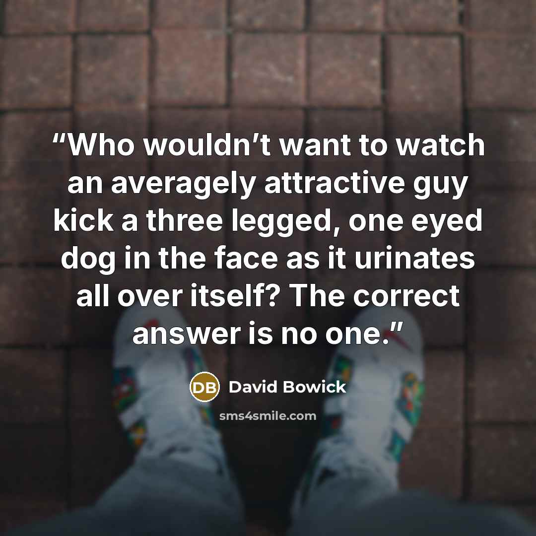 “Who wouldn’t want to watch an averagely attractive guy kick a three legged, one eyed dog in the face as it urinates all over itself? The correct answer is no one.” quote by David Bowick