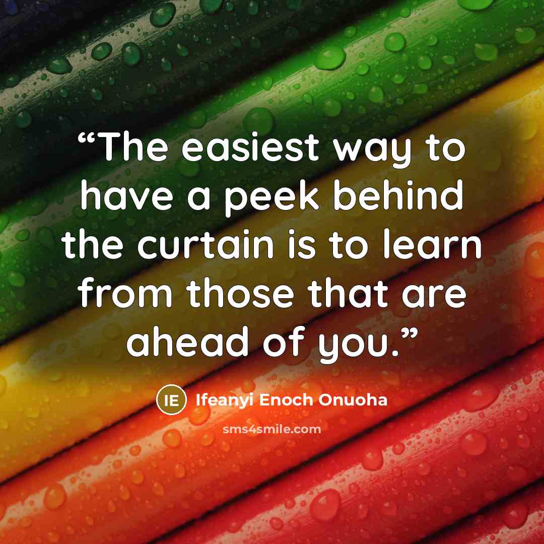 “The easiest way to have a peek behind the curtain is to learn from those that are ahead of you.” quote by Ifeanyi Enoch Onuoha