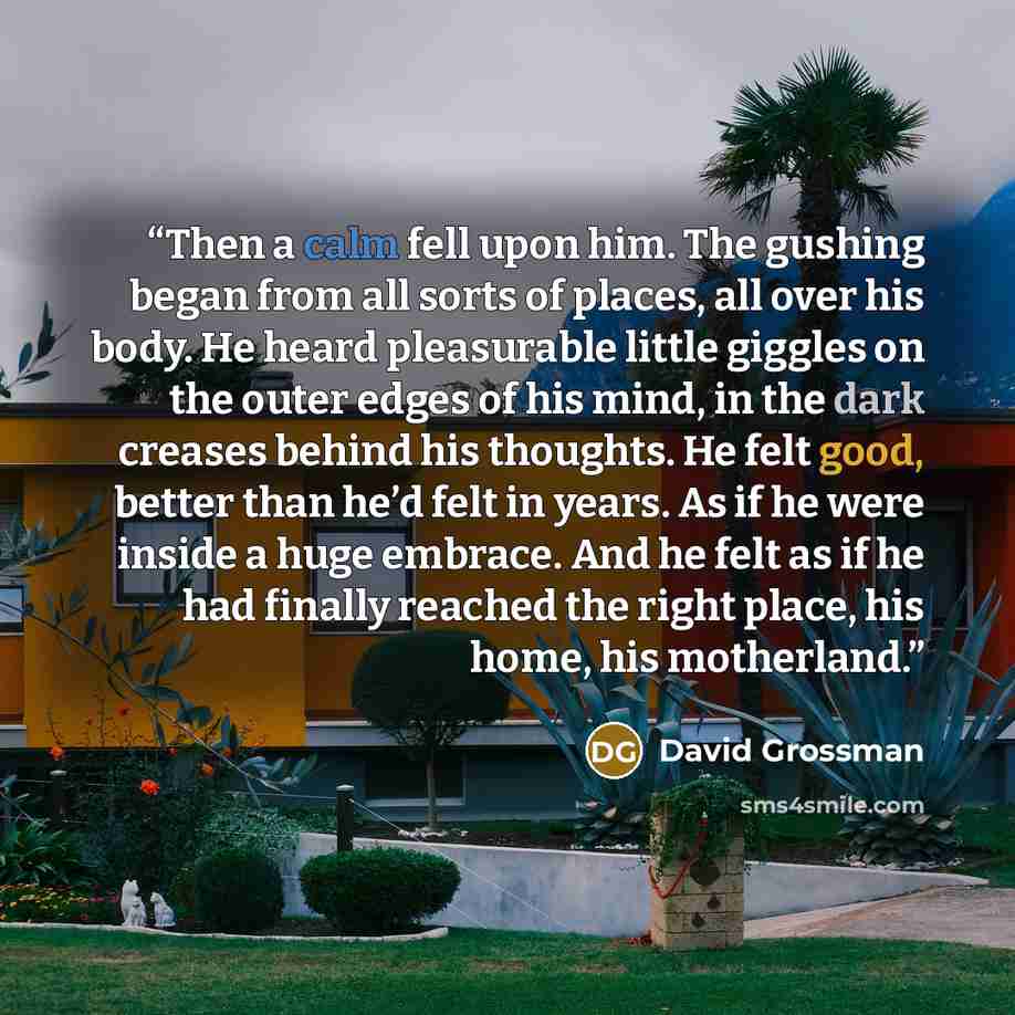 “Then a calm fell upon him. The gushing began from all sorts of places, all over his body. He heard pleasurable little giggles on the outer edges of his mind, in the dark creases behind his thoughts. He felt good, better than he’d felt in years. As if he were inside a huge embrace. And he felt as…” quote by David Grossman