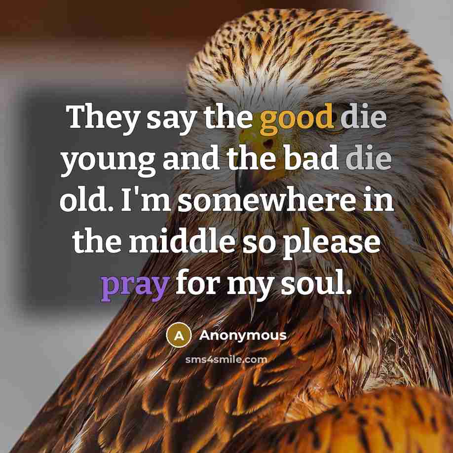 “They say the good die young and the bad die old. I'm somewhere in the middle so please pray for my soul.” quote by Anonymous