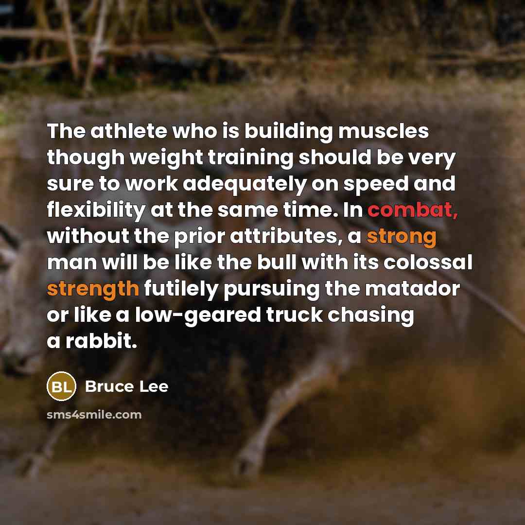 “The athlete who is building muscles though weight training should be very sure to work adequately on speed and flexibility at the same time. In combat, without the prior attributes, a strong man will be like the bull with its colossal strength futilely pursuing the matador or like a low-geared…” quote by Bruce Lee