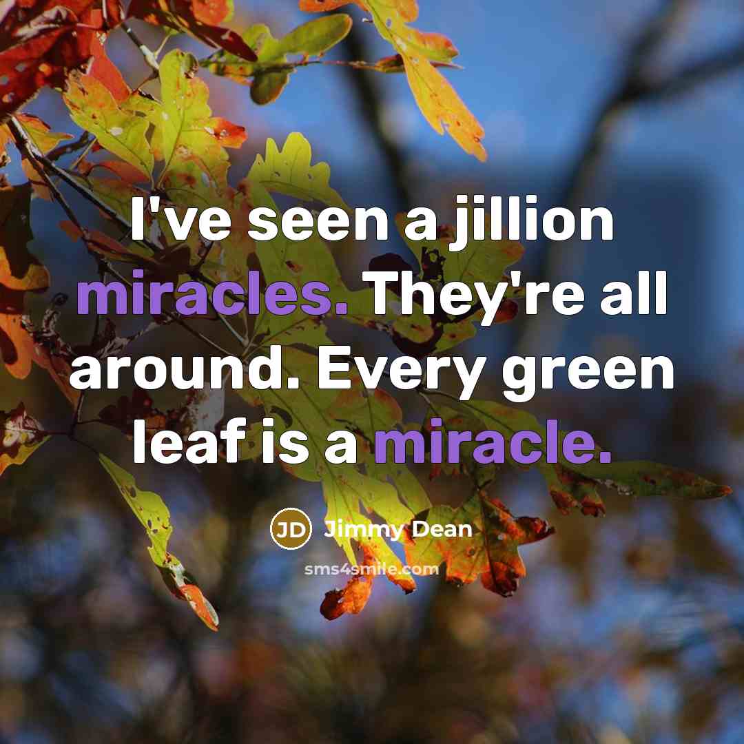 “I've seen a jillion miracles. They're all around. Every green leaf is a miracle.” quote by Jimmy Dean